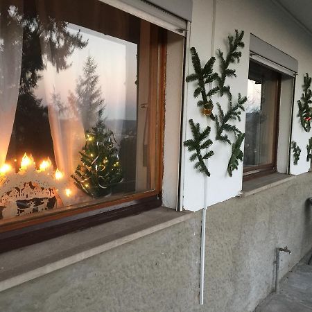 Mainzimmer Business Appartment - Monteurwohnung mit Burgblick Wertheim Exterior foto