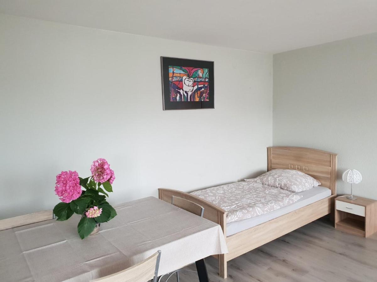 Mainzimmer Business Appartment - Monteurwohnung mit Burgblick Wertheim Exterior foto