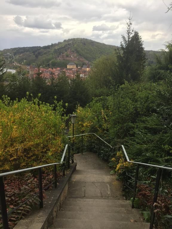 Mainzimmer Business Appartment - Monteurwohnung mit Burgblick Wertheim Exterior foto