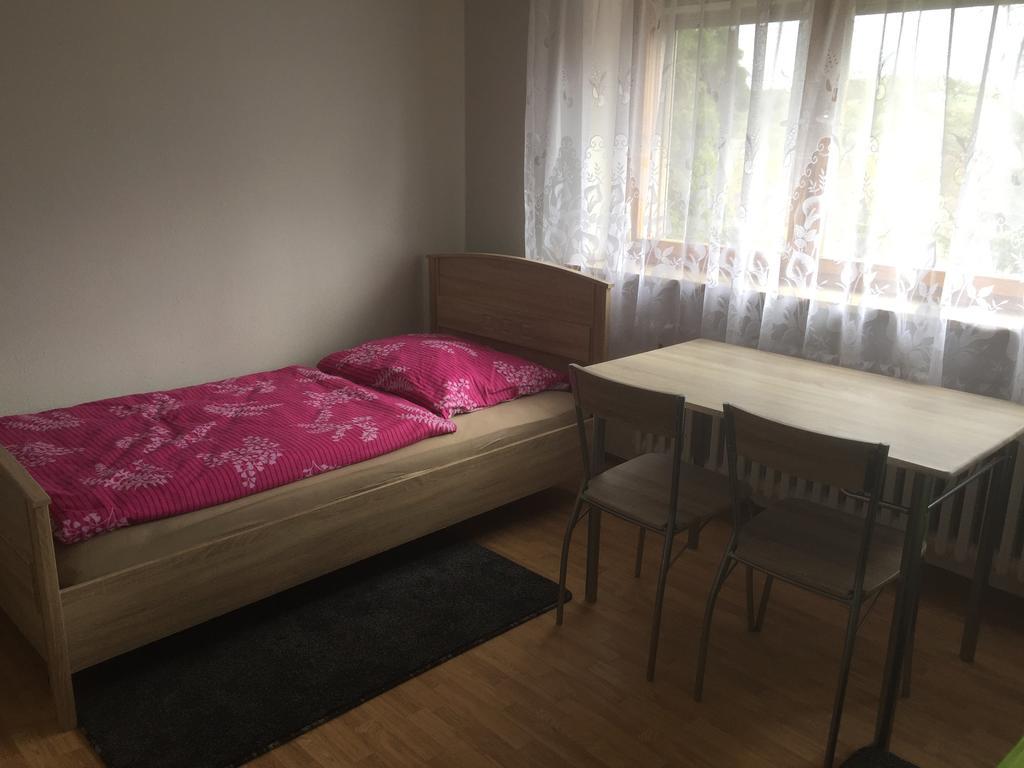 Mainzimmer Business Appartment - Monteurwohnung mit Burgblick Wertheim Exterior foto